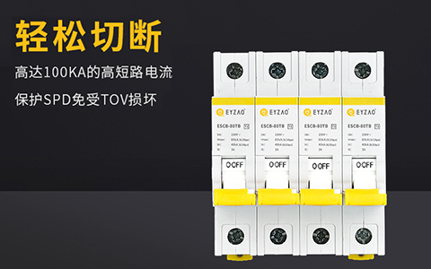 電涌保護器后備保護 電涌保護器后備保護