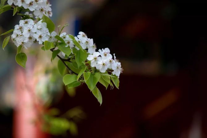 立夏丨春光萬象中，夏日初長(zhǎng)成--易造防雷