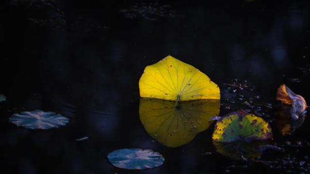 v2-61bf8b89a2e0ce40e27f34212b2c450b_720w v2-61bf8b89a2e0ce40e27f34212b2c450b_720w