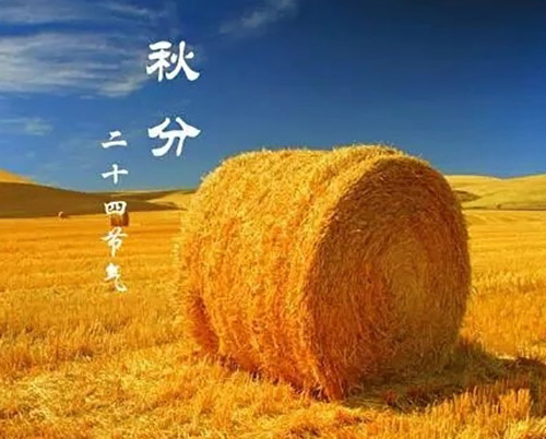 秋分 | 秋色灑滿大地，滿目秋意為伴