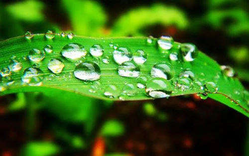 白露 | 夏意已去，涼秋來臨