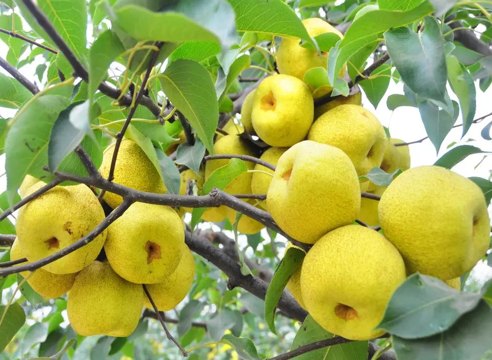 驚蟄-驚雷響 萬(wàn)物生-易造防雷 驚蟄-驚雷響 萬(wàn)物生-易造防雷